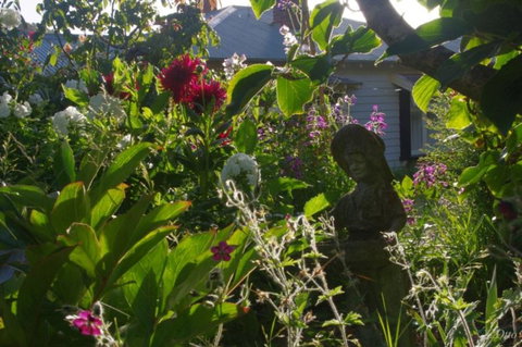 Paua Bay Farmstay - Accommodation New Zealand 3
