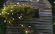Paua Bay Farmstay - thumb 4