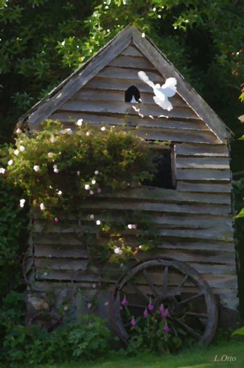 Paua Bay Farmstay - Accommodation New Zealand 4