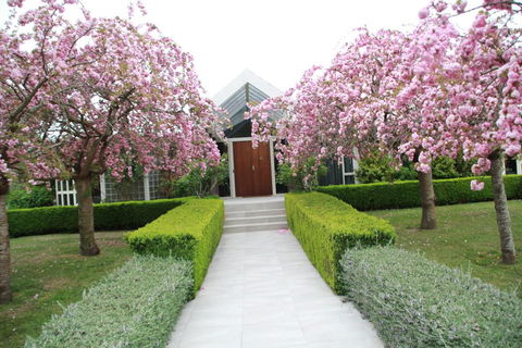 Silverstream Alpaca Farmstay & Tour - Accommodation New Zealand 2