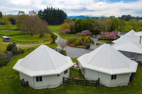Silverstream Alpaca Farmstay & Tour - Accommodation New Zealand 3