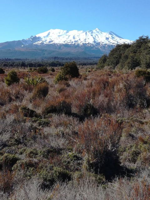 Slalom Lodge - Accommodation New Zealand 3