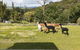 Special View BnB Only - thumb 0