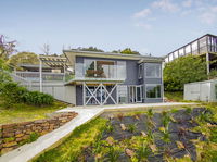 Tairua Tree Tops - Tairua Holiday Home