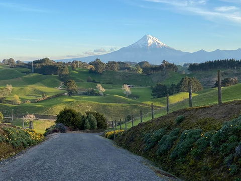 Taranaki Country Lodge - Accommodation New Zealand 1