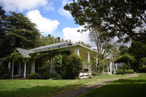 Tarata - Accommodation New Zealand 2