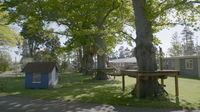 Te Aroha Holiday Park and Motels