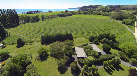 Te Awanga Cottages - Accommodation New Zealand 1
