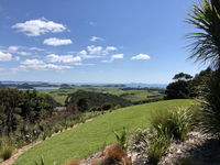 Te Huia