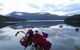 Te Mahia Bay Resort - thumb 1