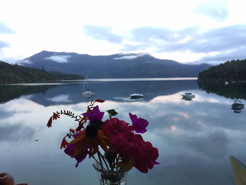 Te Mahia Bay Resort - Accommodation New Zealand 1