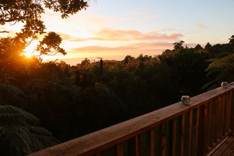 Te Nikau Retreat - Accommodation New Zealand 3