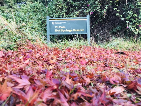 Te Puia Hot Springs Hotel - Accommodation New Zealand 2