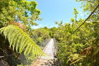 TePopo Gardens  Accommodation