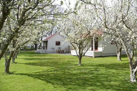 Terracotta Lodge & Cottages - Accommodation New Zealand 0