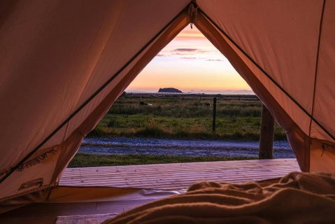 The Barn Cabins & Camping - Accommodation New Zealand 1