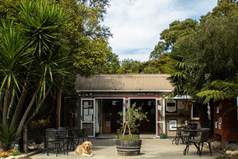 The Barn Cabins & Camping - Accommodation New Zealand 0