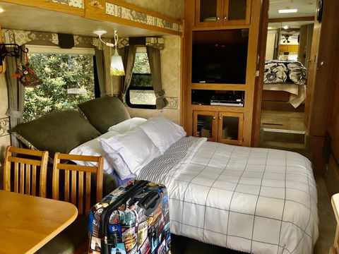 The Camel, Raio Glampervan Pukenui - Accommodation New Zealand 2