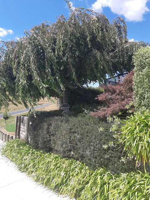 The End Lounge B&B - Accommodation New Zealand 2