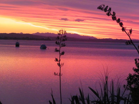 The Fish And Jandal - Accommodation New Zealand 2