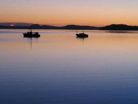 The Fish And Jandal - Accommodation New Zealand 1
