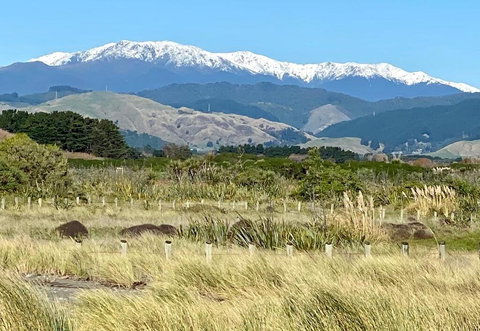The Little Grey Cottage - Accommodation New Zealand 1