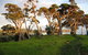 The Nikau Loft - thumb 2