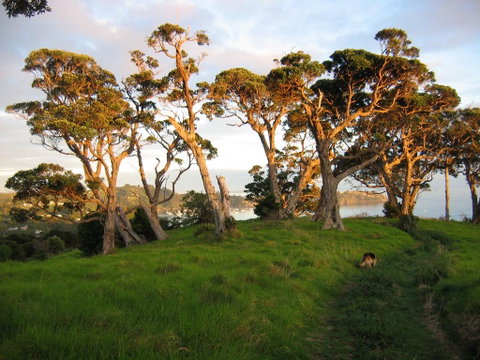 The Nikau Loft - Accommodation New Zealand 2