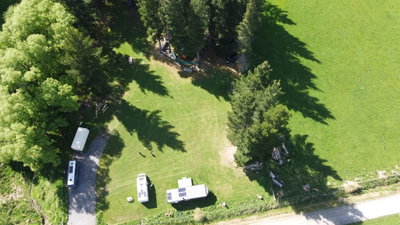 The Pines