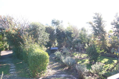 The Red Hen And Dog - Accommodation New Zealand 3