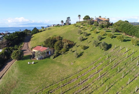 The Vineyard Cottage - Accommodation New Zealand 3