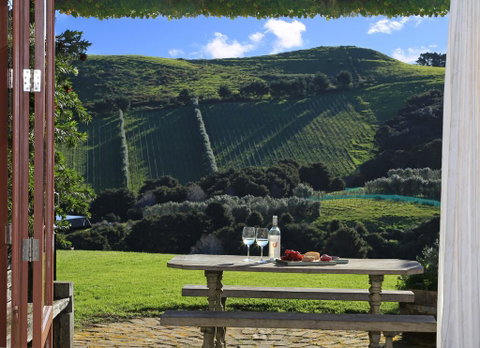 The Vineyard Cottage - Accommodation New Zealand 0