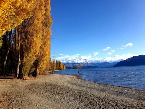 THISTLEDOME - Lake Wanaka - Accommodation New Zealand 3