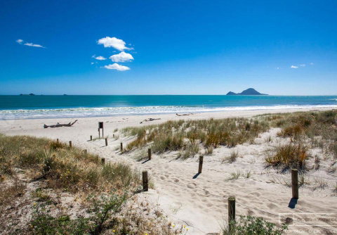 Thornton Beach Holiday Park - Accommodation New Zealand 2