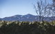 Three Peaks Luxury Villa By MajorDomo - thumb 2