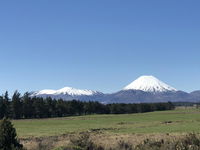 Tongariro Crossing Cottage and Crossing Transport