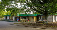 Tongariro Junction