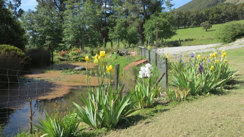 Tophouse - Accommodation New Zealand 2