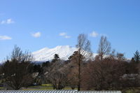 Totara Views - Ohakune Holiday Home