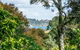 Treetop Retreat - Onetangi Holiday Home - thumb 2