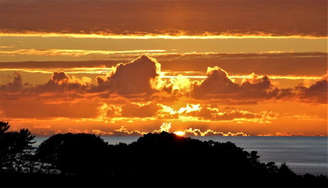True North Tutukaka - Accommodation New Zealand 0