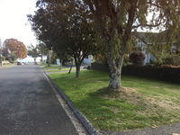 Tui House