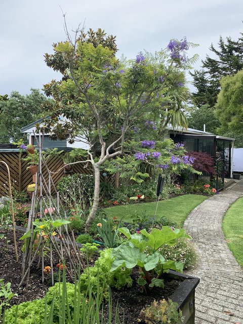 Twin Oaks Quiet Cottage - Accommodation New Zealand 0