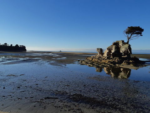 Two Tuis Accomodation - Accommodation New Zealand 2