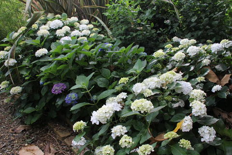 U Beauty - B & B - Accommodation New Zealand 3