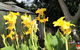 U Beauty - B & B - thumb 1