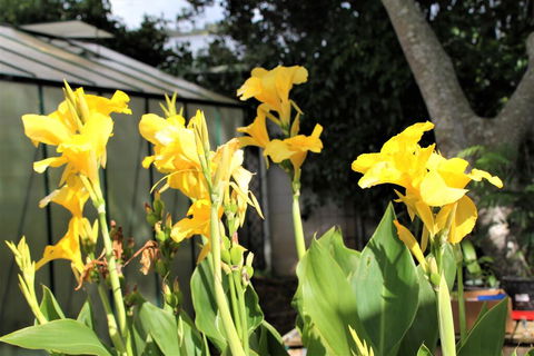 U Beauty - B & B - Accommodation New Zealand 1