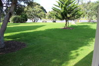 Urenui Beach Camp