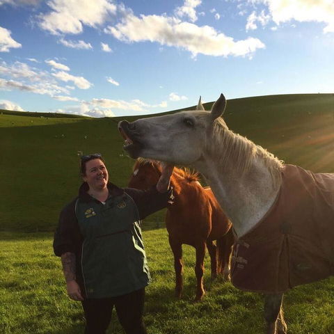 Valleyview Farm Stay/Horse Trekking - Accommodation New Zealand 3