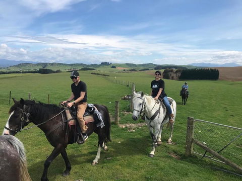 Valleyview Farm Stay/Horse Trekking - Accommodation New Zealand 1